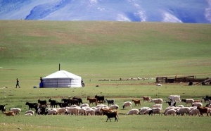 URGA MONGOLIE  : La Mongolie n’a de cesse de se développer, de nombreuses demandes à la carte, la brochure 2012 est sorti avec quasiment pas d’augmentation par rapport à 2011…