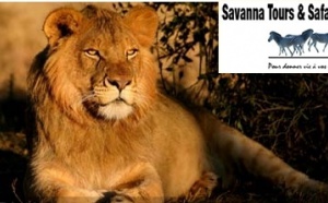 Savanna Tours &amp; Safaris, réceptif en Tanzanie avec un bureau à Arusha, à Dar Es Salam et à Zanzibar.