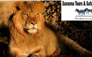 Gagnez des clients en Afrique du Sud avec Savanna Tours &amp; Safari !