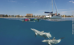 Adélaïde / Australie du Sud : activités en mer