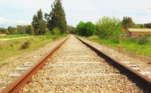 Train : avec Thello, la concurrence débarque sur les rails entre Paris et Venise