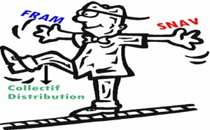 Ventes Mutuelles : l'exercice d'"équilibriste" de Georges Colson, président du Snav Ventes Mutuelles : l'exercice d'"équilibriste" de Georges Colson, président du Snav