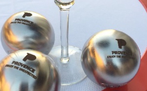 Le CRT PACA part à la conquête du marché américain Le CRT PACA part à la conquête du marché américain