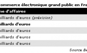 France : croissance de 44% de l'e-commerce en 2005