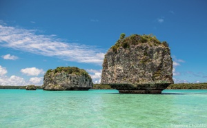 La Nouvelle-Calédonie fait son come-back sur le marché français La Nouvelle-Calédonie fait son come-back sur le marché français