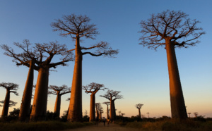 "Pays &amp; Marchés du Monde" : Behenjy, joyau de Madagascar