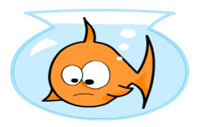 III. - "Il faut que je vide ma valise" : les clients, un sujet inépuisable mais... épuisant ! III. - "Il faut que je vide ma valise" : les clients, un sujet inépuisable mais... épuisant !