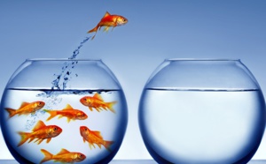 Formation, emploi, tourisme : comment résoudre la quadrature du cercle ? Formation, emploi, tourisme : comment résoudre la quadrature du cercle ?