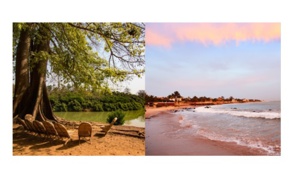 Voyamar étend sa production autour du "tourisme durable" Voyamar étend sa production autour du "tourisme durable"