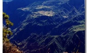 Réunion : Thomas Cook sent le souffre