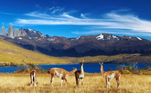 Croisières d’exception ajoute des dates pour la Patagonie et le Japon en 2020 Croisières d’exception ajoute des dates pour la Patagonie et le Japon en 2020