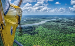 La Guyane : une biodiversité exceptionnelle pour les amateurs d'exotisme