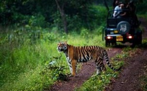 Madhya Pradesh présentera ses atouts à l'IFTM (Stand N148)