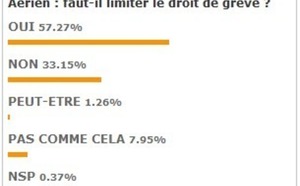 Service minimum aérien : 57,27 % des pros du tourisme pour la limitation du droit de grève