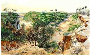 Sénégal : réhabilitation du Parc National du Niokolo-Koba