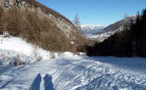 Vacances de neige : la France fait le plein, Laponie et Québec assurent l'essentiel...