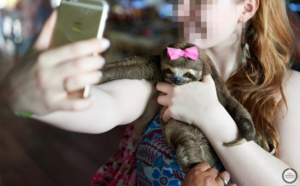 Le Costa Rica lance une campagne "stop" aux selfies avec les animaux
