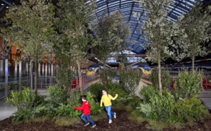 Emission carbone : Eurostar va planter un arbre pour chaque train en service Emission carbone : Eurostar va planter un arbre pour chaque train en service