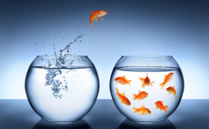 La case de l’Oncle Dom : Thomas Cook c'est réglé... on passe à TUI France ? La case de l’Oncle Dom : Thomas Cook c'est réglé... on passe à TUI France ?