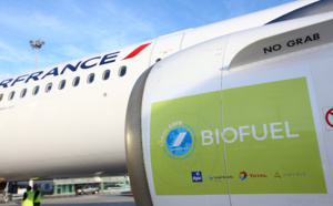 Aérien : les biocarburants, une grande illusion ?