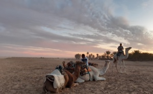 I. Le Sud tunisien, de Tozeur à Douz, un soleil d'hiver à (re)découvrir