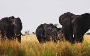 L'Afrique Australe avec Assurever : un voyage plein d'émotions