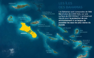 L'OT des Bahamas fait gagner des places en éductour