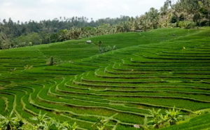 L'Asie en version originale avec Shanti Travel L'Asie en version originale avec Shanti Travel