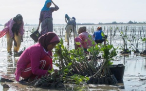 Neutralité carbone : Kappa Club se rapproche de Voyageurs du Monde Neutralité carbone : Kappa Club se rapproche de Voyageurs du Monde