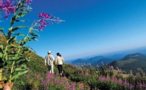 Chamina Voyages : rando Walk & Talk en Puy-de-Dôme