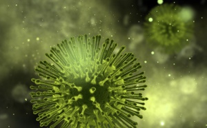 Coronavirus : la c... est la chose la plus virale au monde !