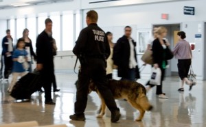 MYL Sabords : DGAC... Le changement c'est maintenant ! MYL Sabords : DGAC... Le changement c'est maintenant !