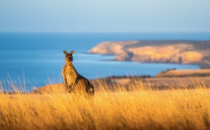 Aussie Specialists : Tourism Australia invite 8 agents de voyages pour un éductour