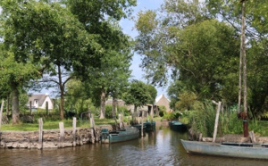 Loire Atlantique : embarquez pour une balade nature en Brière