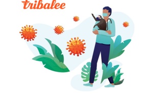 Start-up : Tribalee offre l'accès gratuit à son application de team building