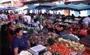 Guyane : Air France lance une promo spéciale agents de voyages Guyane : Air France lance une promo spéciale agents de voyages