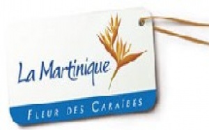 Martinique : un nouveau site Internet fin octobre