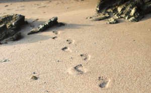 Congés d'été : TourMaG.com revient le lundi 20 août !  Congés d'été : TourMaG.com revient le lundi 20 août !