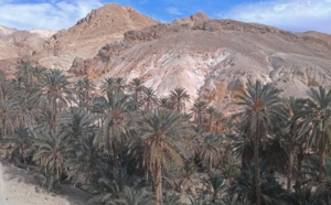 Tunisie : l’entrepreneuriat dans le tourisme saharien n’est pas encore un relais de croissance durable Tunisie : l’entrepreneuriat dans le tourisme saharien n’est pas encore un relais de croissance durable