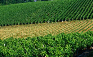  France : Bordeaux et le lac Vassivière en Nouvelle Aquitaine