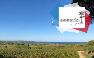 Beyond The Wine Beyond The Wine