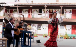 Voyages Vert Vous - Épisode 7 : Andalousie, flamenco, patios et agro-écologie