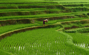 L'Asie en version originale avec Shanti Travel L'Asie en version originale avec Shanti Travel