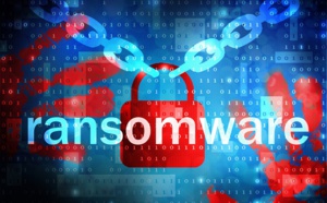 Ransomware : Misterfly victime d'une cyberattaque