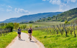 La preuve par trois : en France, l’œnotourisme fait sa mue La preuve par trois : en France, l’œnotourisme fait sa mue