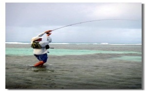 Guadeloupe : tourisme de pêche écotouristique