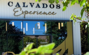 Calvados Experience reçoit le prix Travellers’ Choice 2020 décerné par TripAdvisor