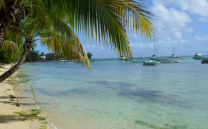 Ventes de fin d’année : le long courrier remplace le traineau du Père Noël Ventes de fin d’année : le long courrier remplace le traineau du Père Noël