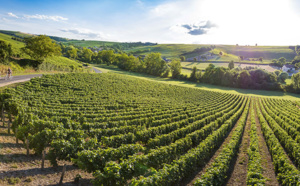 Echappez-vous dans les vignobles du Val de Loire