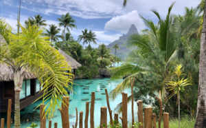 Michel Monvoisin (Air Tahiti Nui) : "Les Français ont parfaitement le droit de venir en Polynésie !"